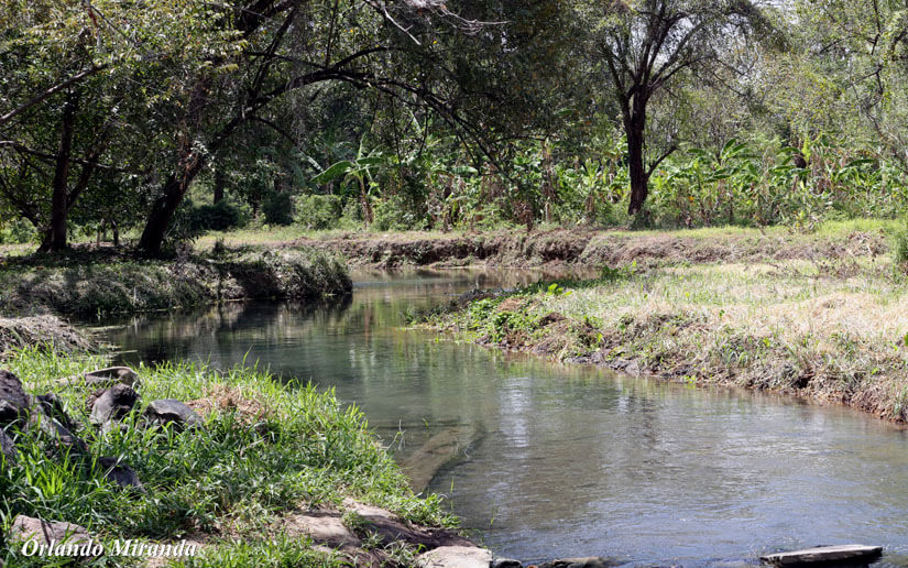 aguas